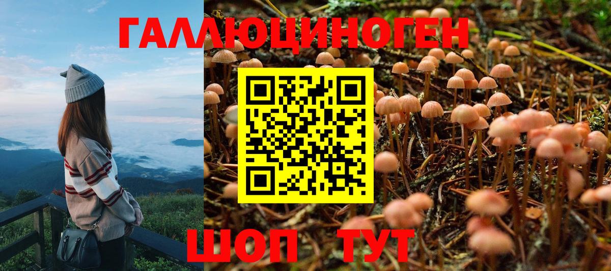 Псилоцибиновые грибы ЛСД Артёмовский