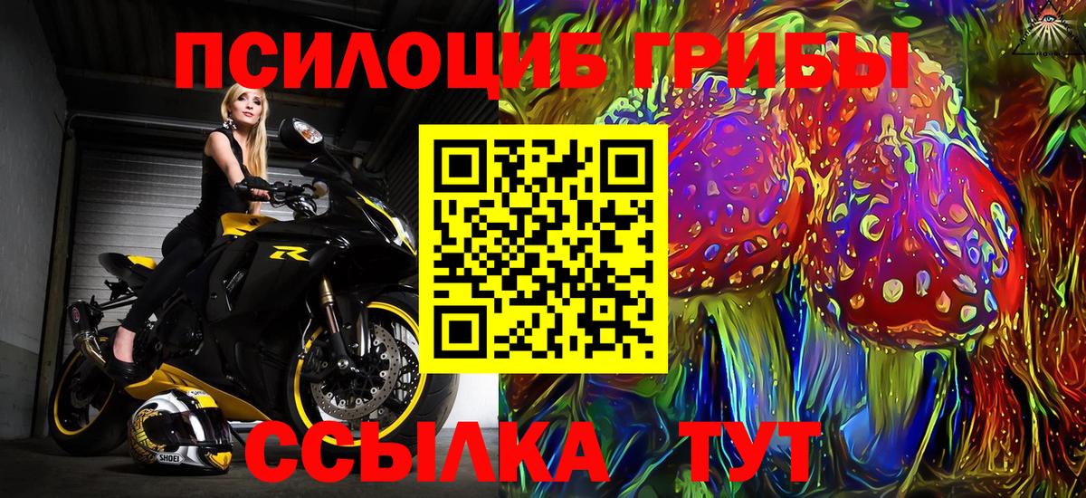Галлюциногенные грибы GOLDEN TEACHER Артёмовский